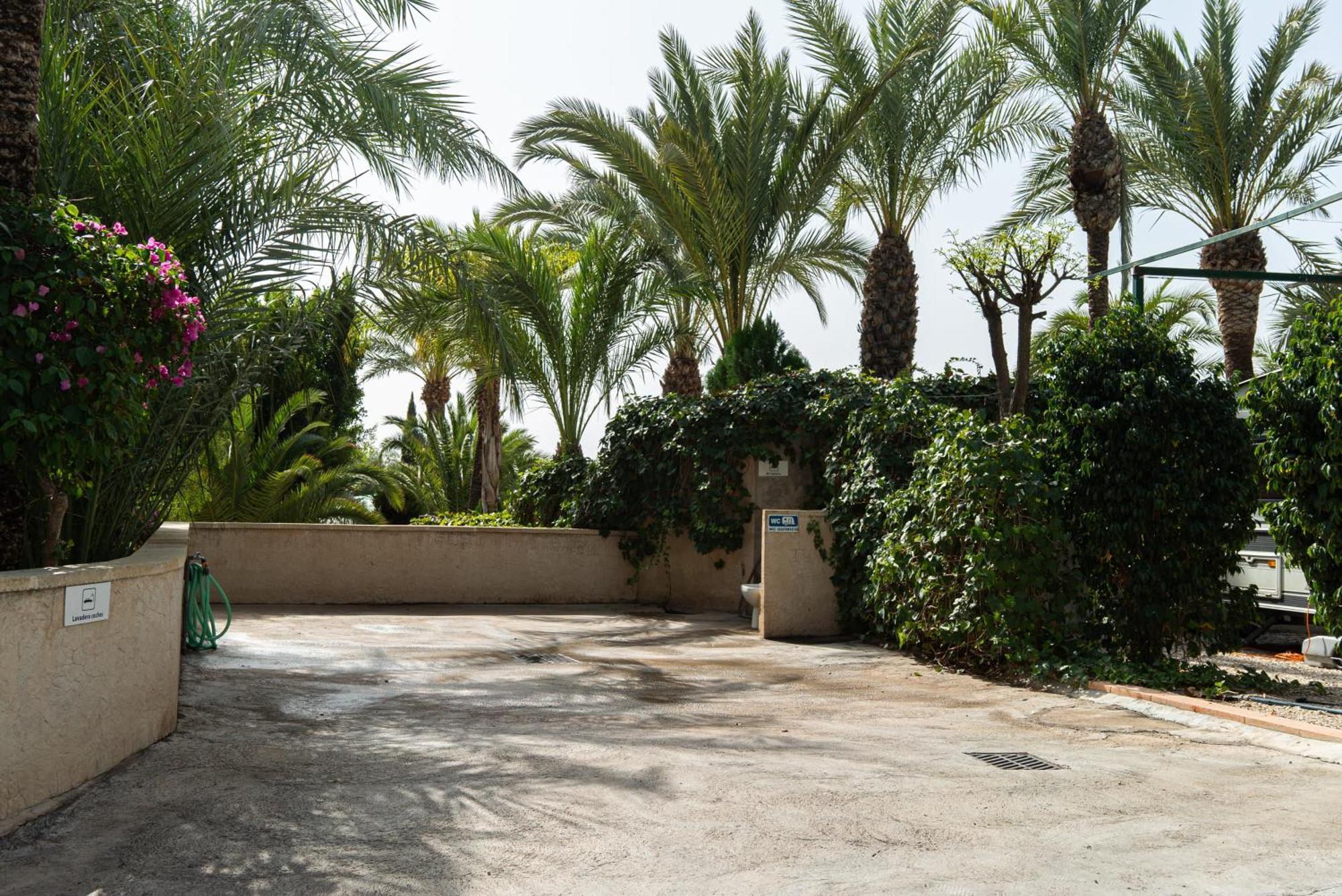 Camping Las Palmeras Crevillente Exteriér fotografie