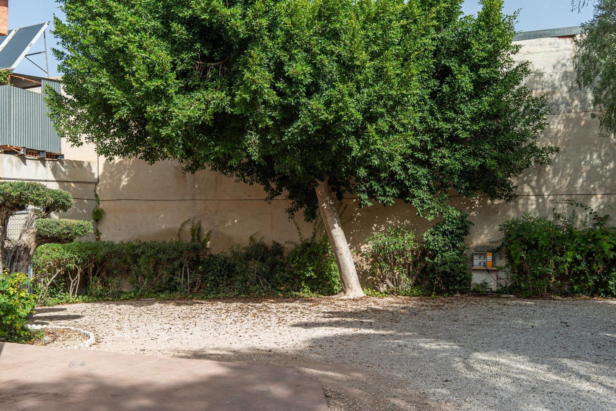 Camping Las Palmeras Crevillente Exteriér fotografie