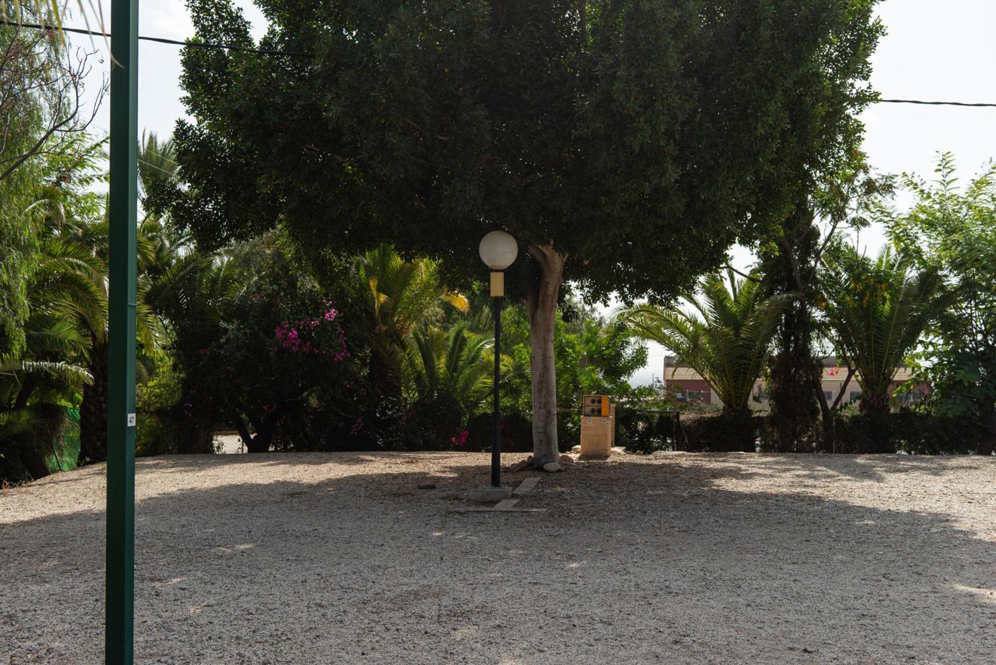 Camping Las Palmeras Crevillente Exteriér fotografie